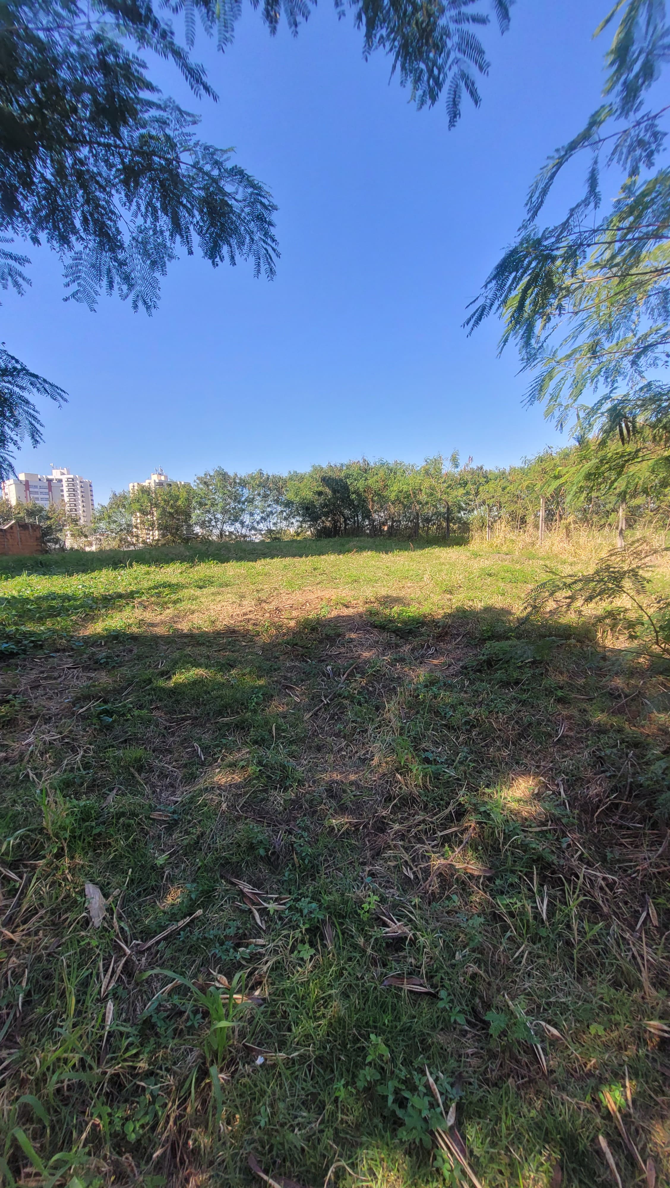 Terreno Lote urbano para venda - Boa Vista, Marília