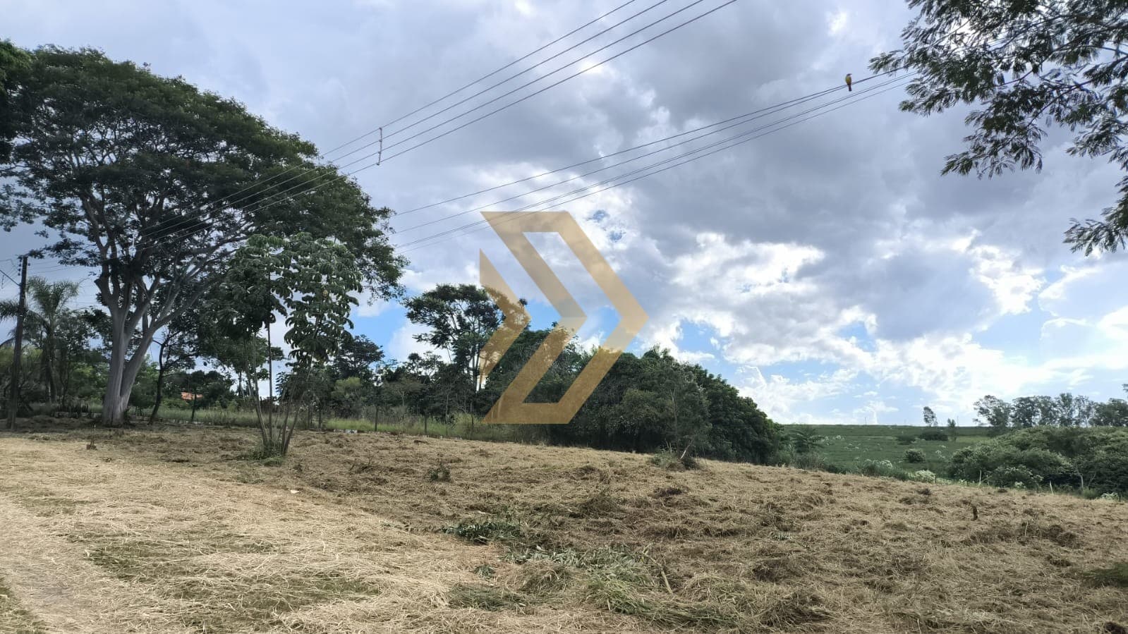 Condomínio de Chácara Estância Santa Bárbara - Terreno rural / Chácara para venda - Estância Santa Bárbara, Marília